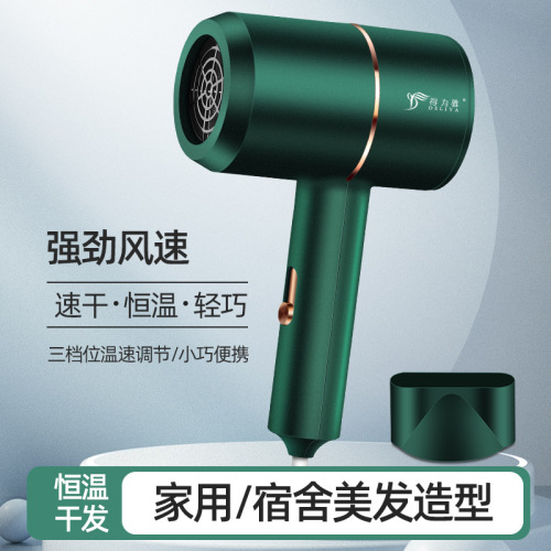 DELIYA Compact Portable Hair Dryer